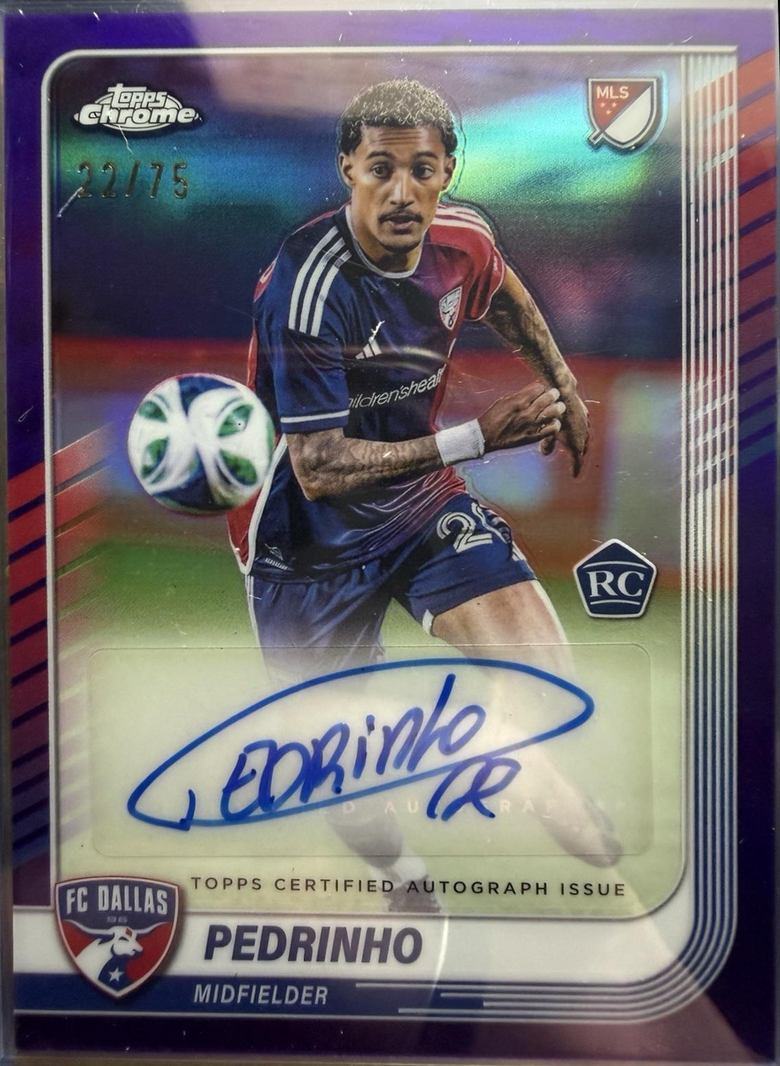 Pedrinho [Purple] #CA-PE