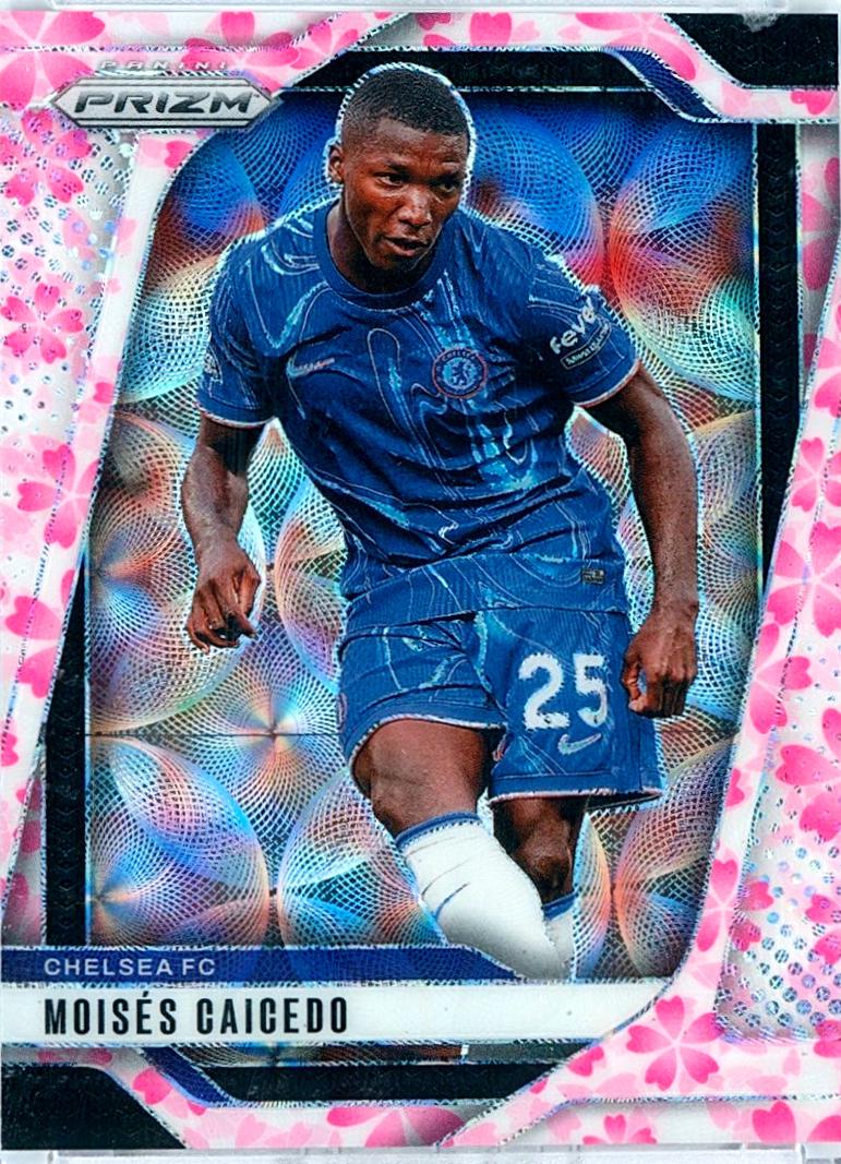 Moises Caicedo [Choice Cherry Blossom] #102