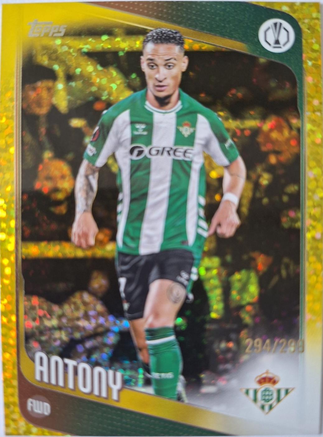 Antony [Yellow] #13