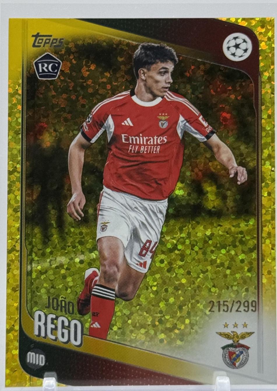 Joao Rego [Yellow] #168