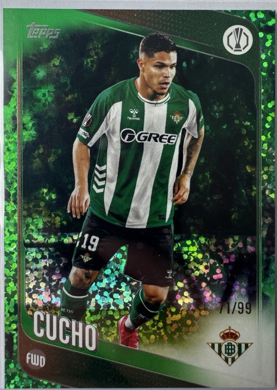 Cucho [Green] #51