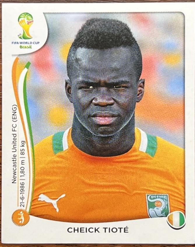 Cheick Tiote #232