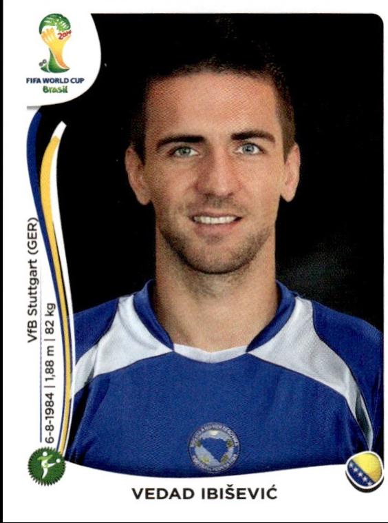 Vedad Ibisevic #448
