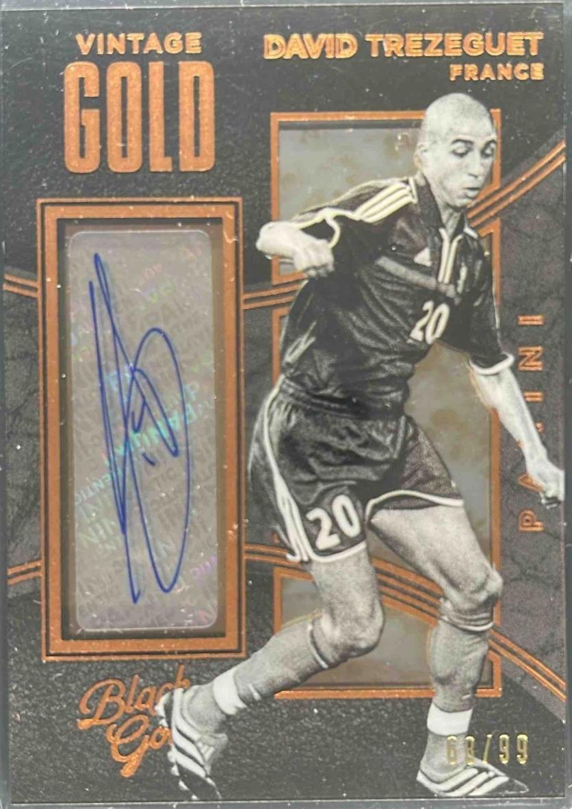 David Trezeguet [Bronze] #2