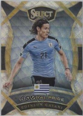 Edinson Cavani #41