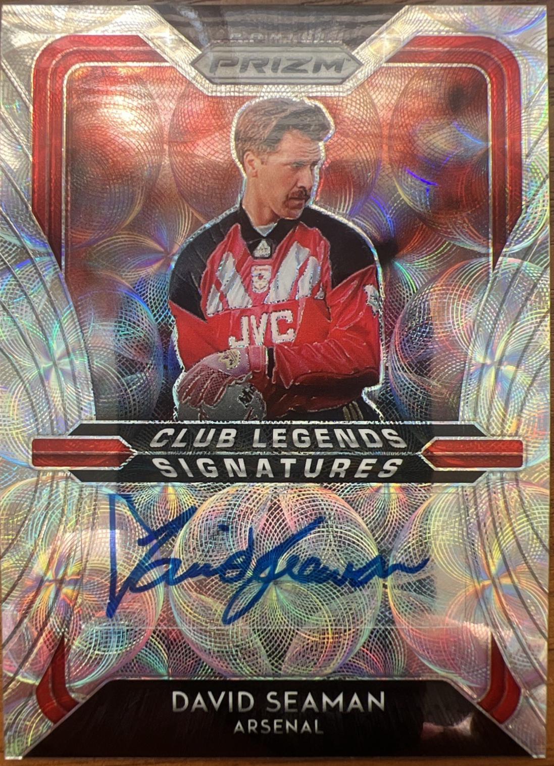 David Seaman [Choice] #4