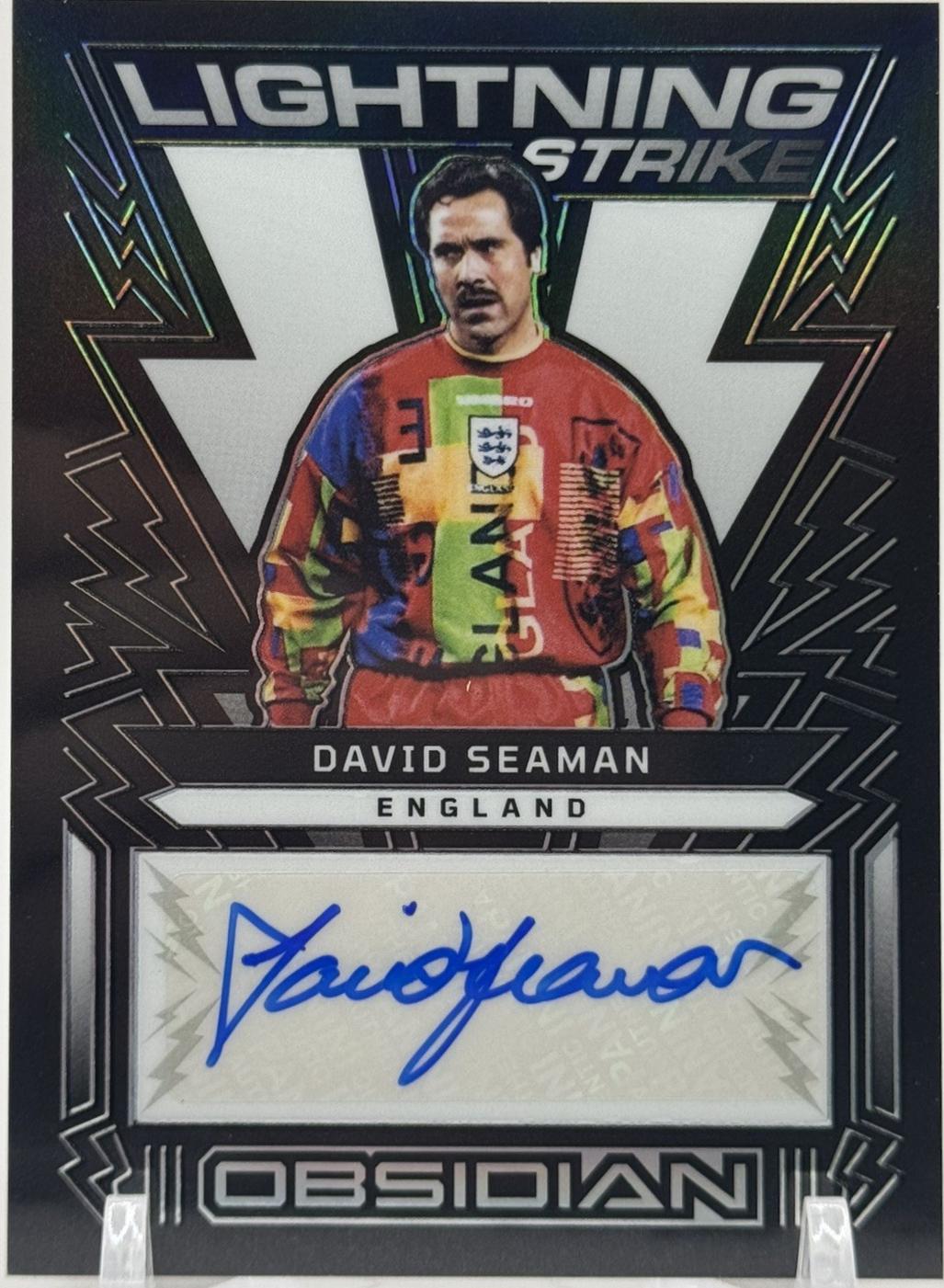 David Seaman #LS-DS