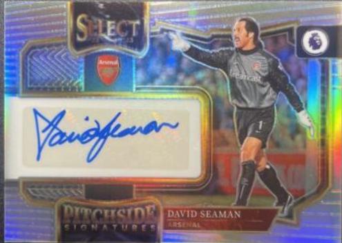 David Seaman #PS-DS
