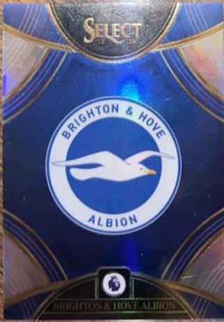 Brighton & Hove Albion #4
