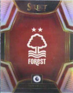 Nottingham Forest FC #1