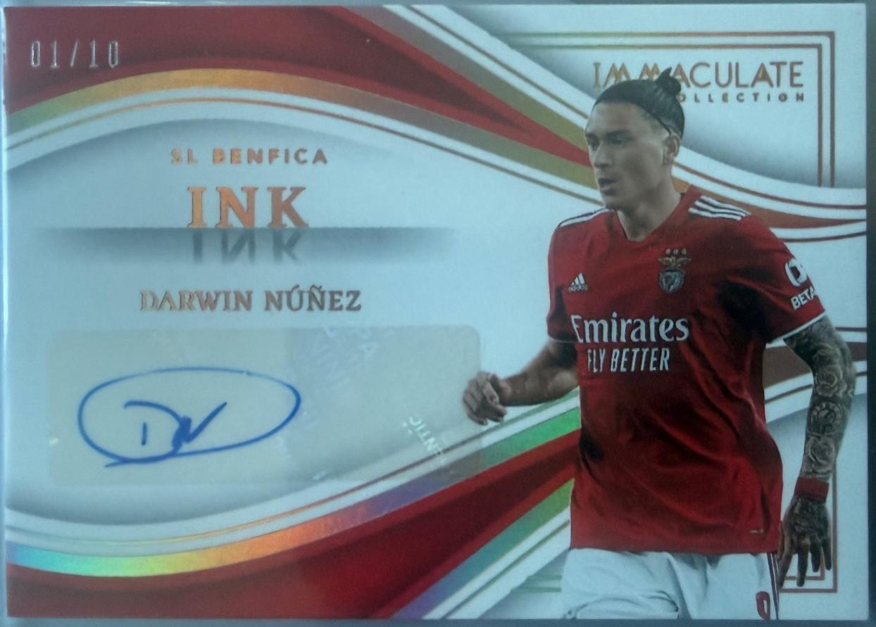 Darwin Nunez [Gold] #IK-DN