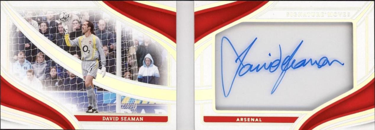 David Seaman #SMA-DS
