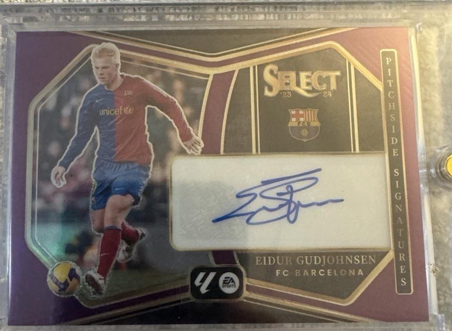 Eidur Gudjohnsen [Purple] #PS-EG