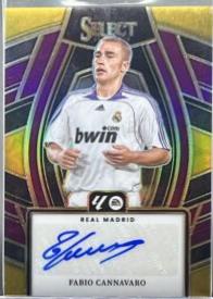 Fabio Cannavaro #19