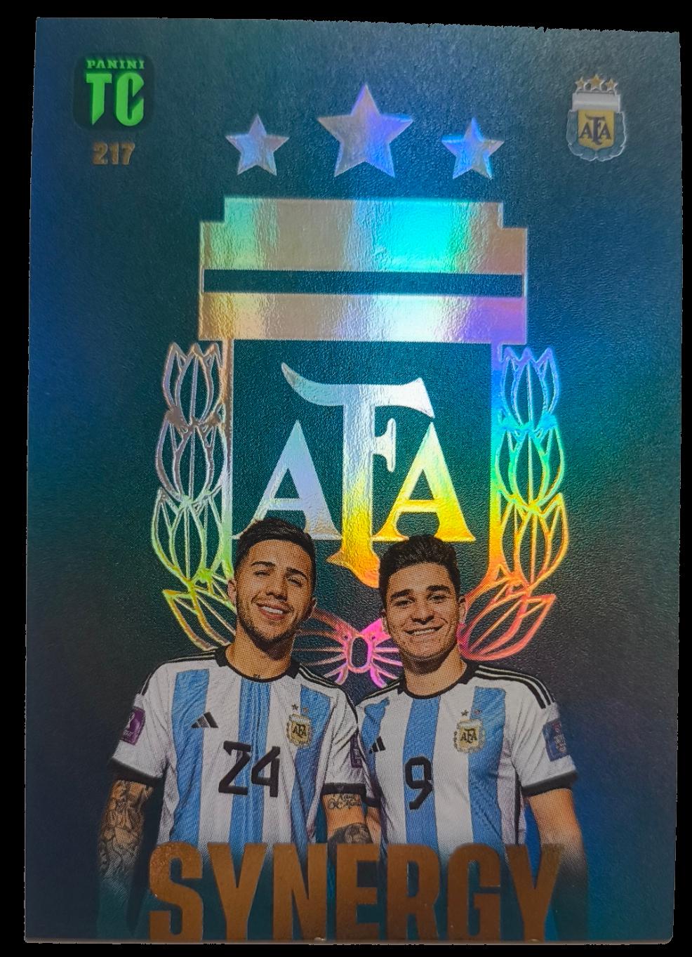 Enzo Fernandez, Julian Alvarez #217
