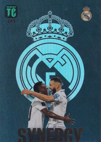 Karim Benzema, Vinicius Jr. #229