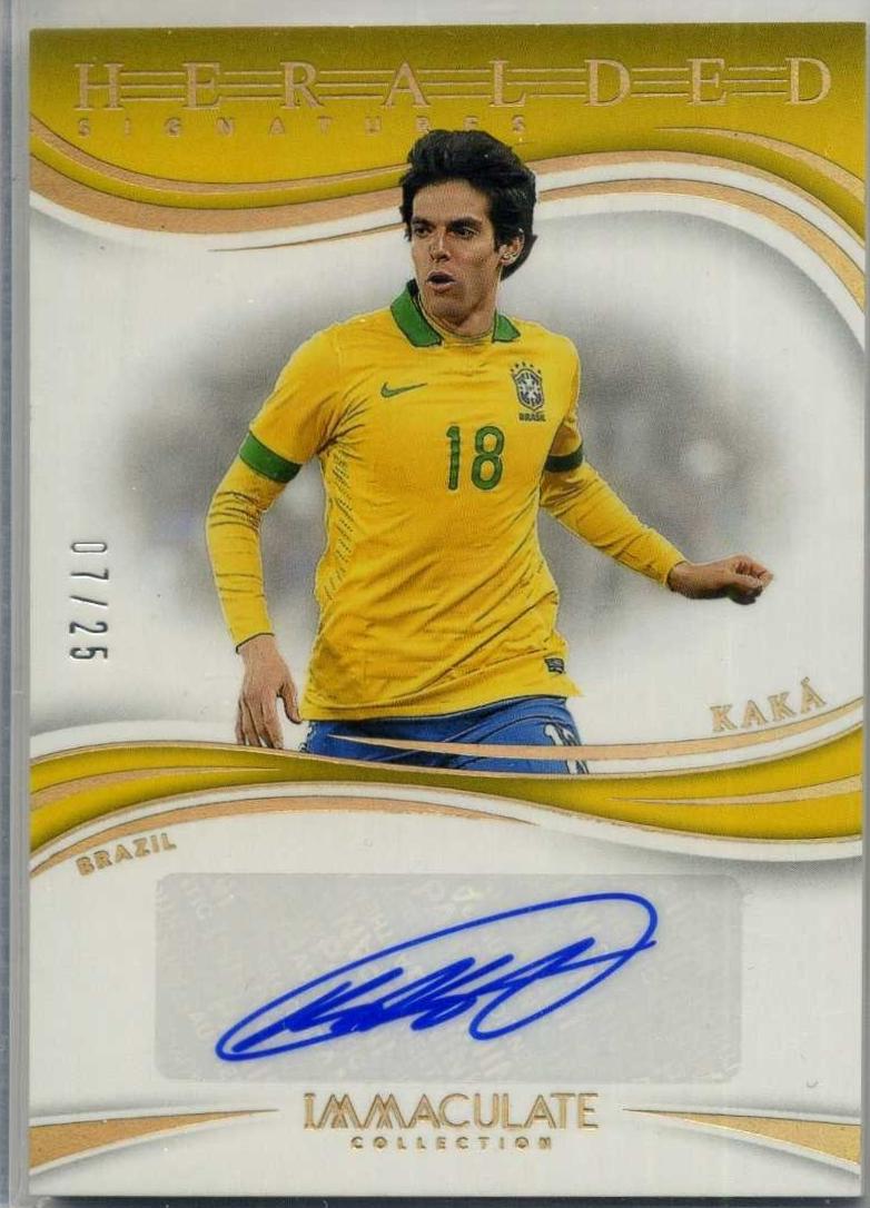 Kaka #24