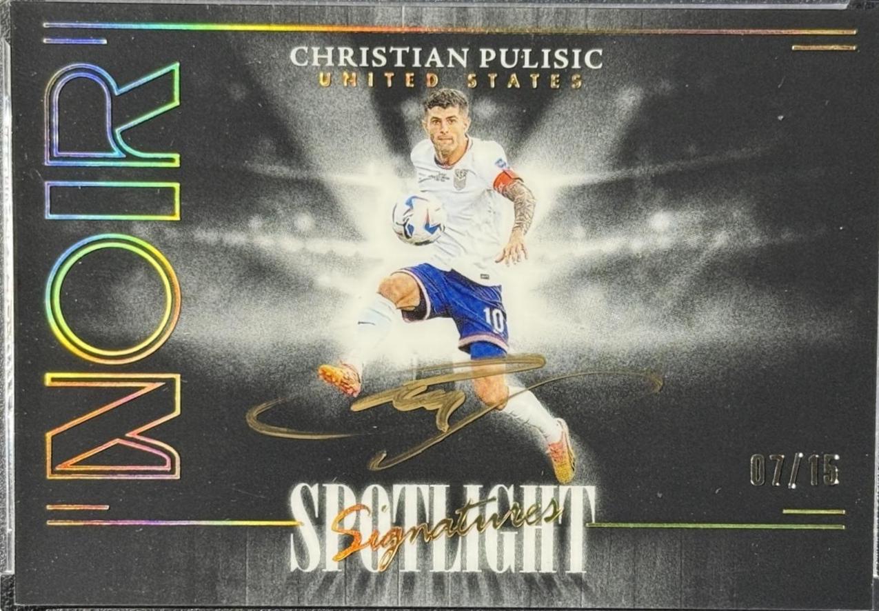 Christian Pulisic #29