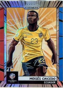 Moises Caicedo #11