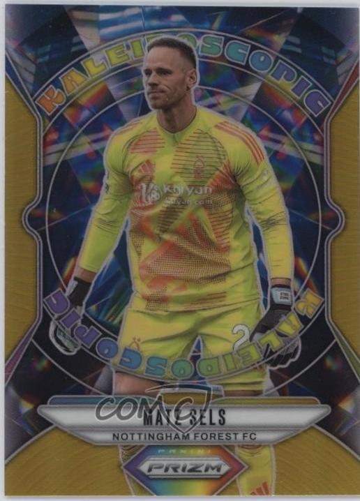 Matz Sels [Gold] #15