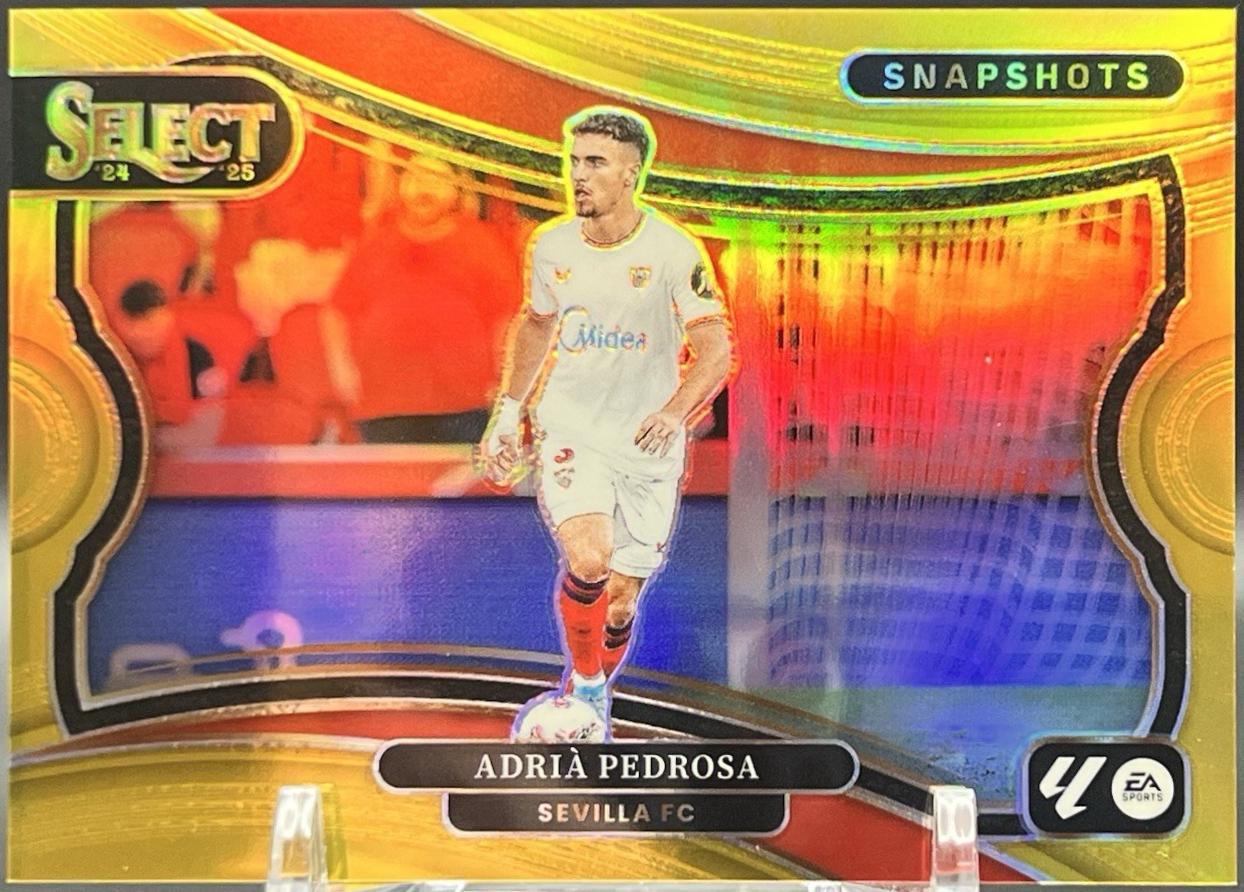 Adria Pedrosa [Gold] #22