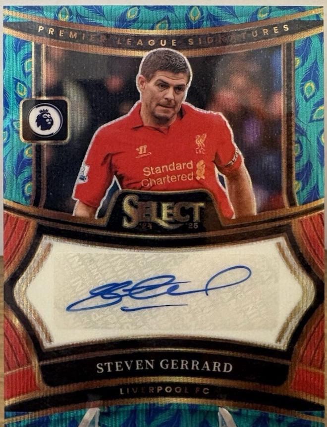 Steven Gerrard [Peacock] #28