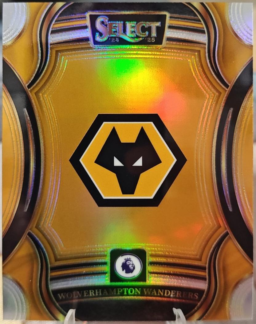 Wolverhampton Wanderers #6