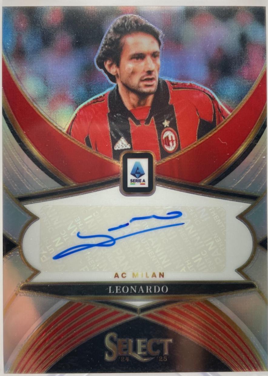 Leonardo #29