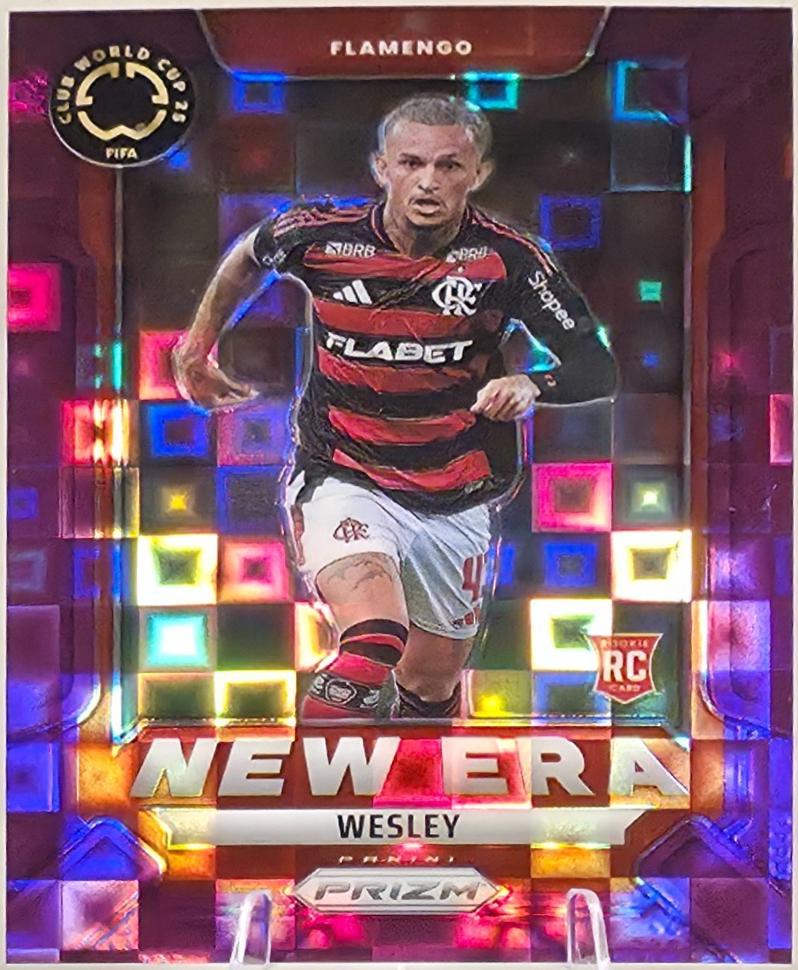 Wesley (D) [Purple Pandora] #9