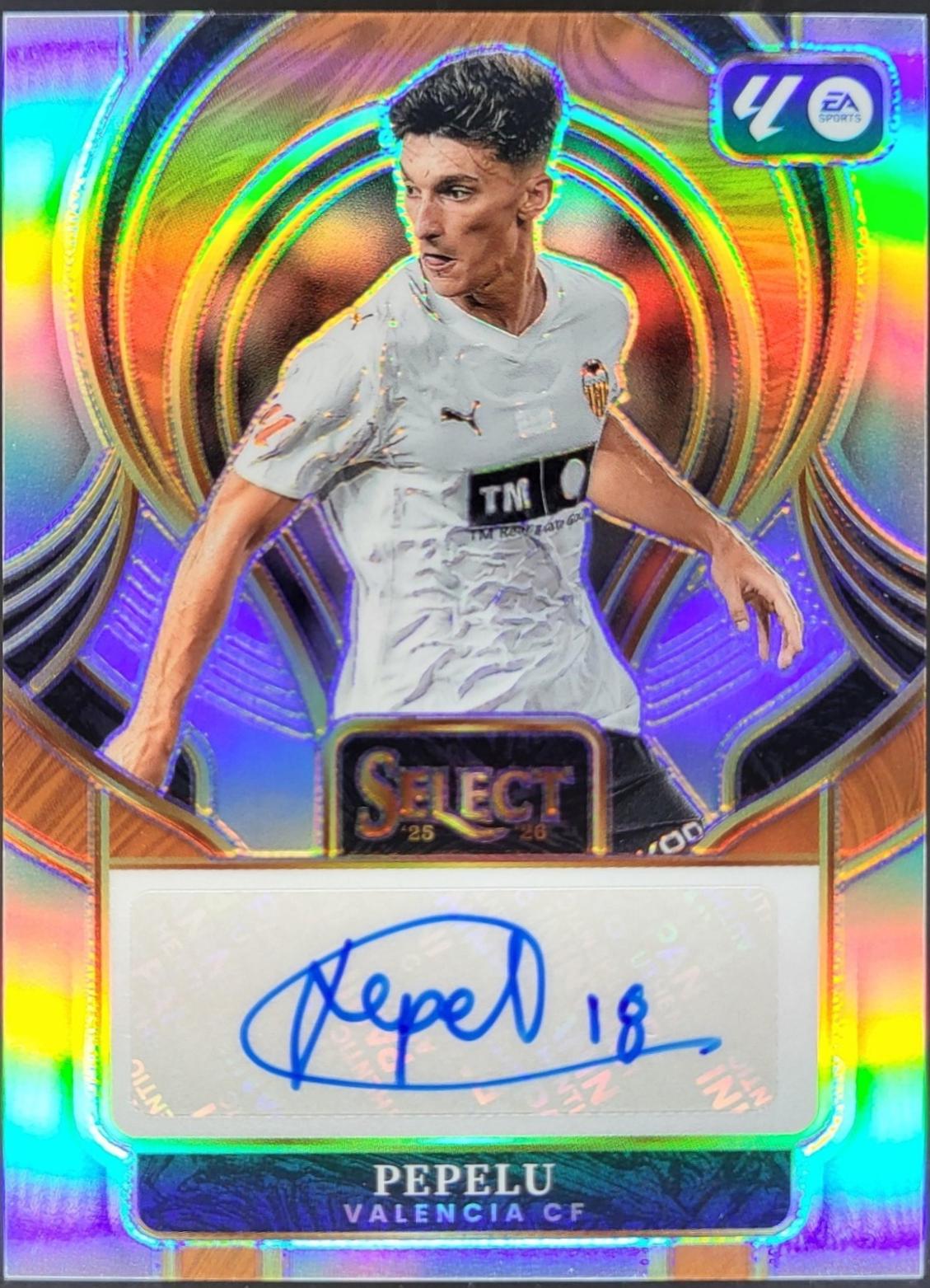 Pepelu #13