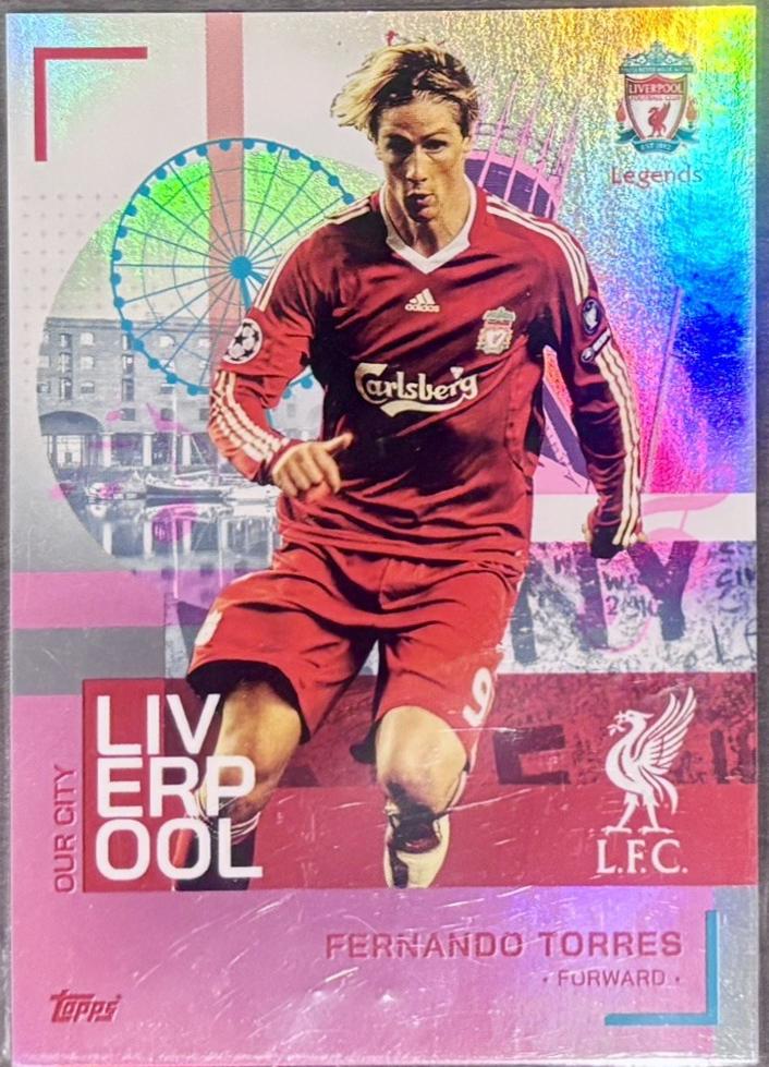 Fernando Torres  [Icy Parallel] #34