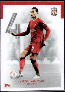 Virgil Van Dijk #3