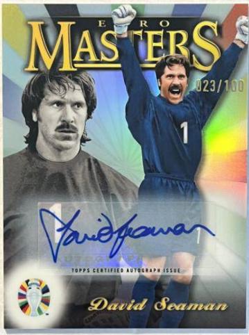 David Seaman #EM-DS