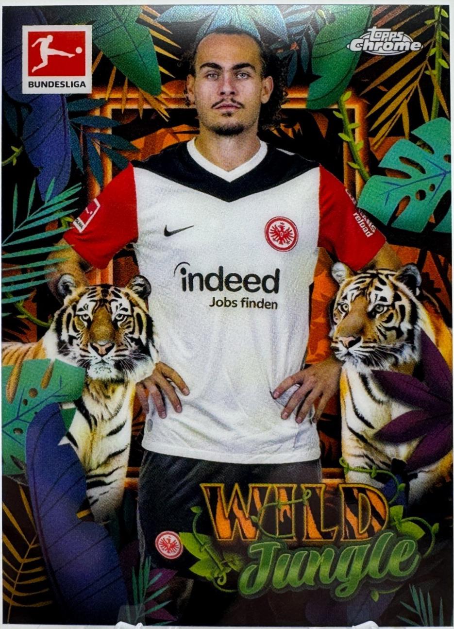 Arthur Theate [Tiger Variation] #WJ-5