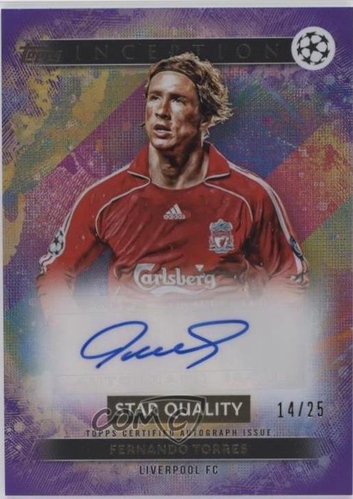 Fernando Torres #SQA-TO