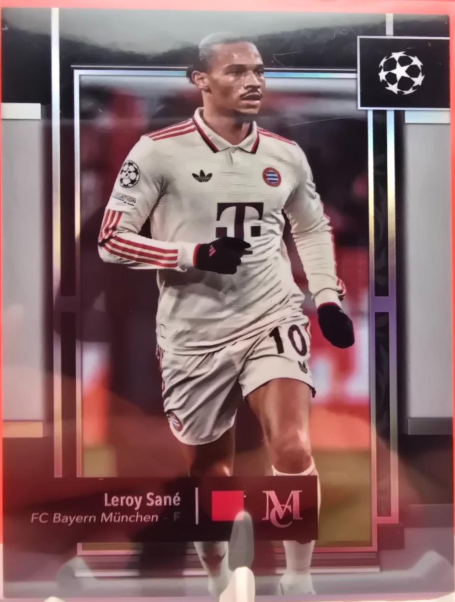 Leroy Sane #95