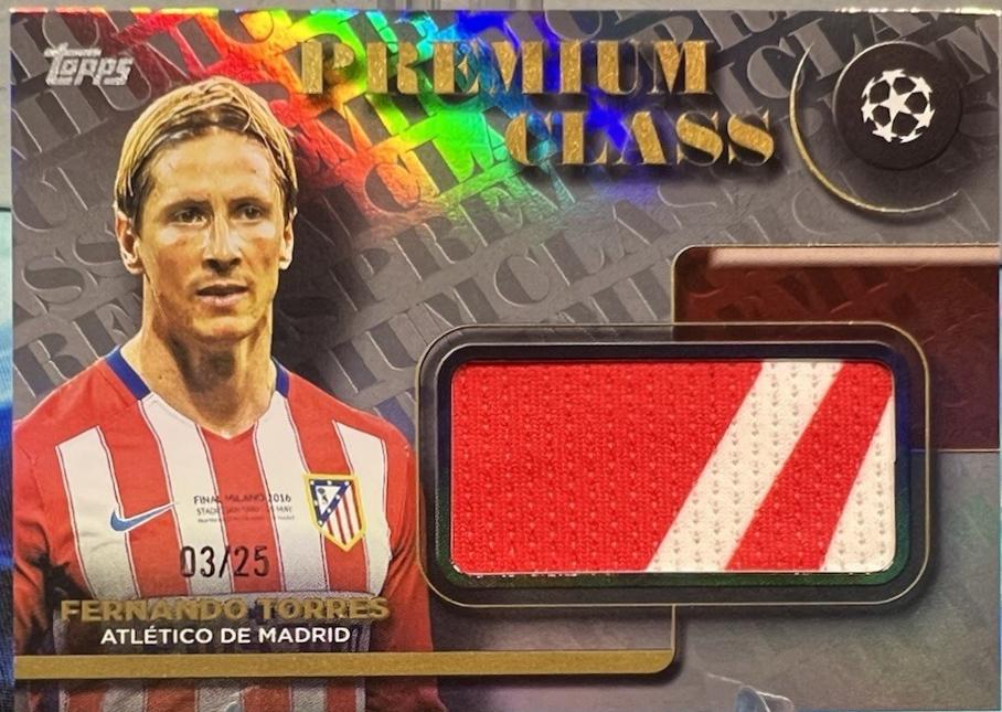 Fernando Torres #PCR-FT