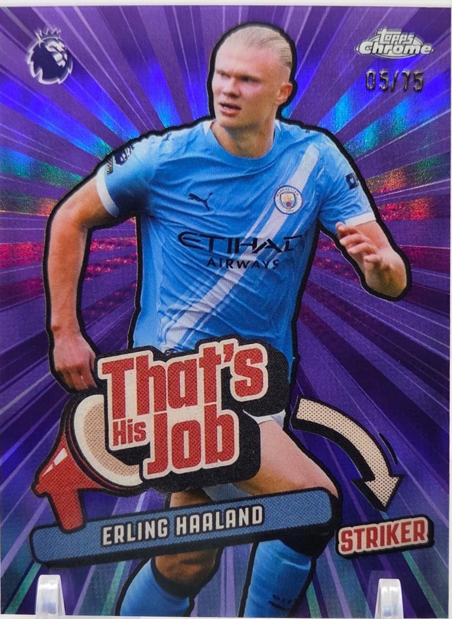 Erling Haaland [Purple] #THJ-13