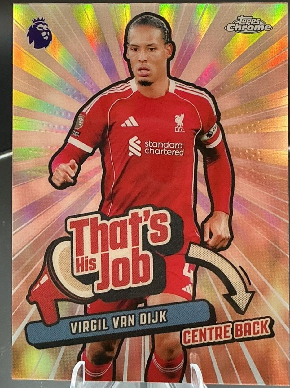 Virgil van Dijk #THJ-12