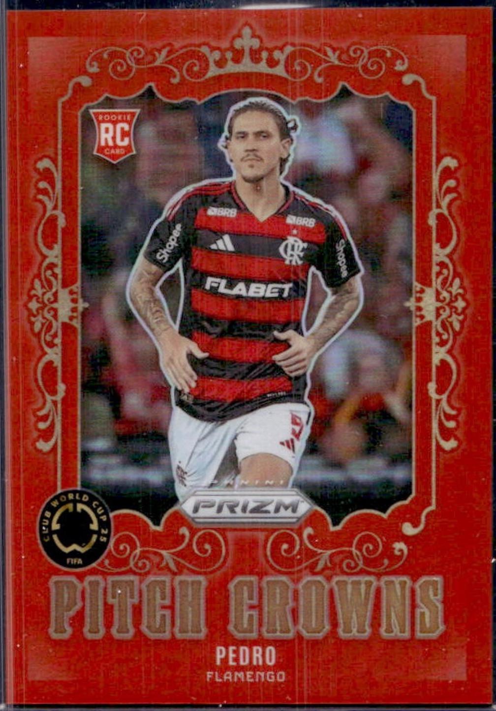 Pedro (F) #10
