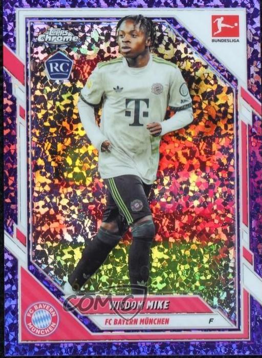 Wisdom Mike [Purple Mini-Diamond Refractor] #34
