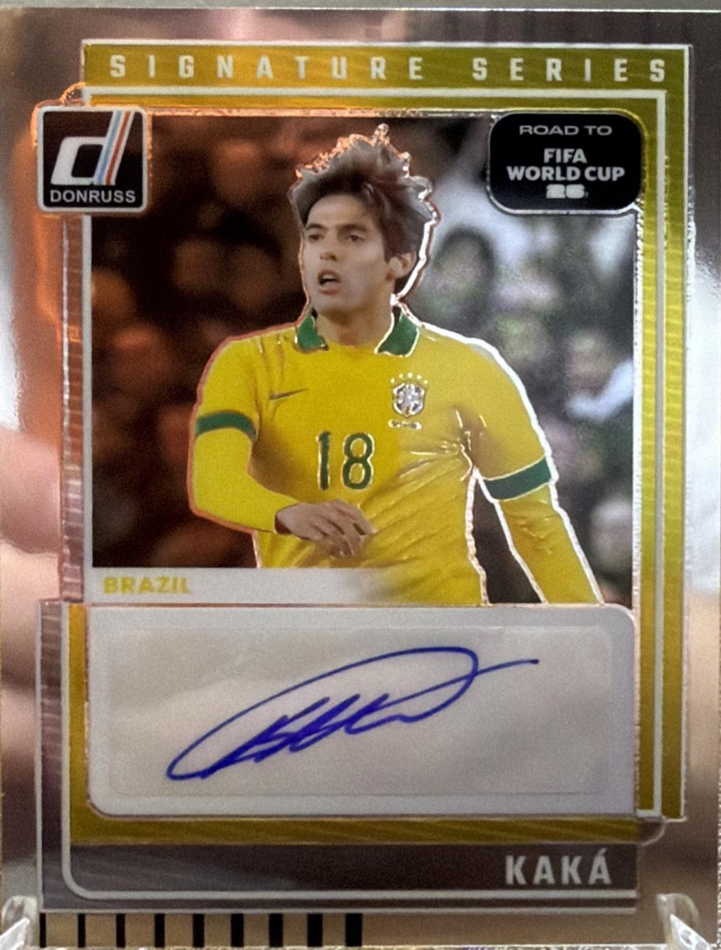 Kaka #42