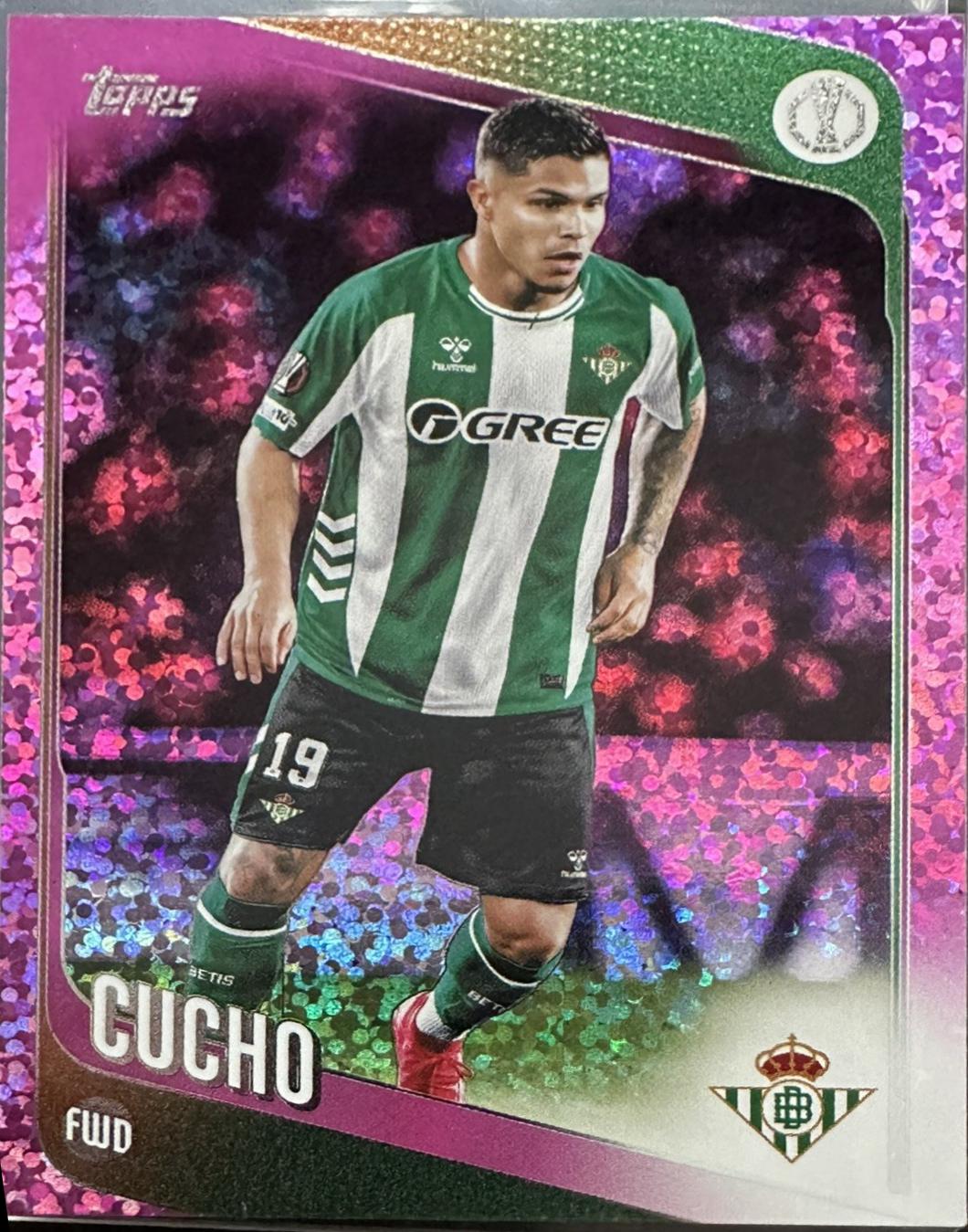 Cucho [Holo Foil] #51