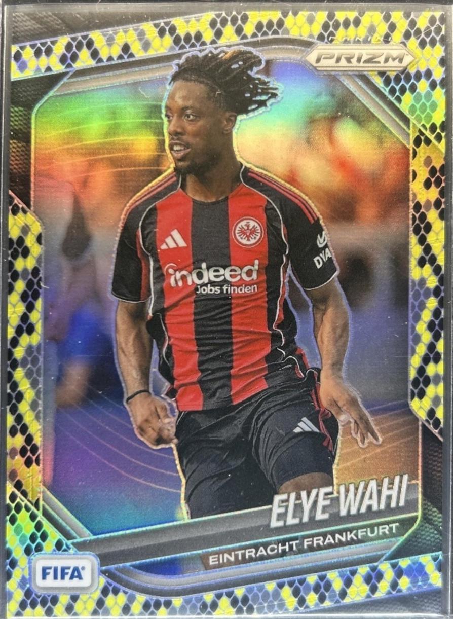 Elye Wahi [Snakeskin] #300