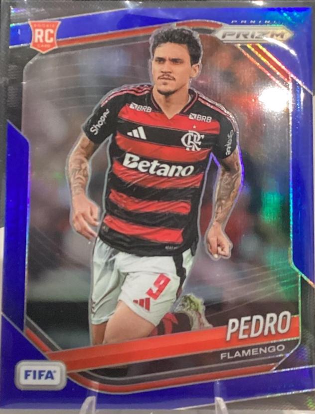 Pedro [Blue] #49