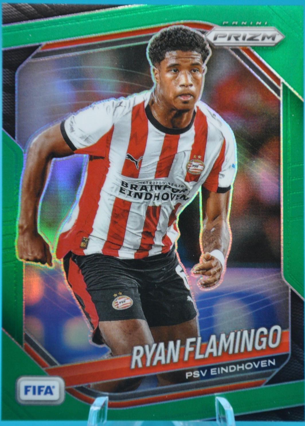 Ryan Flamingo [Green] #269