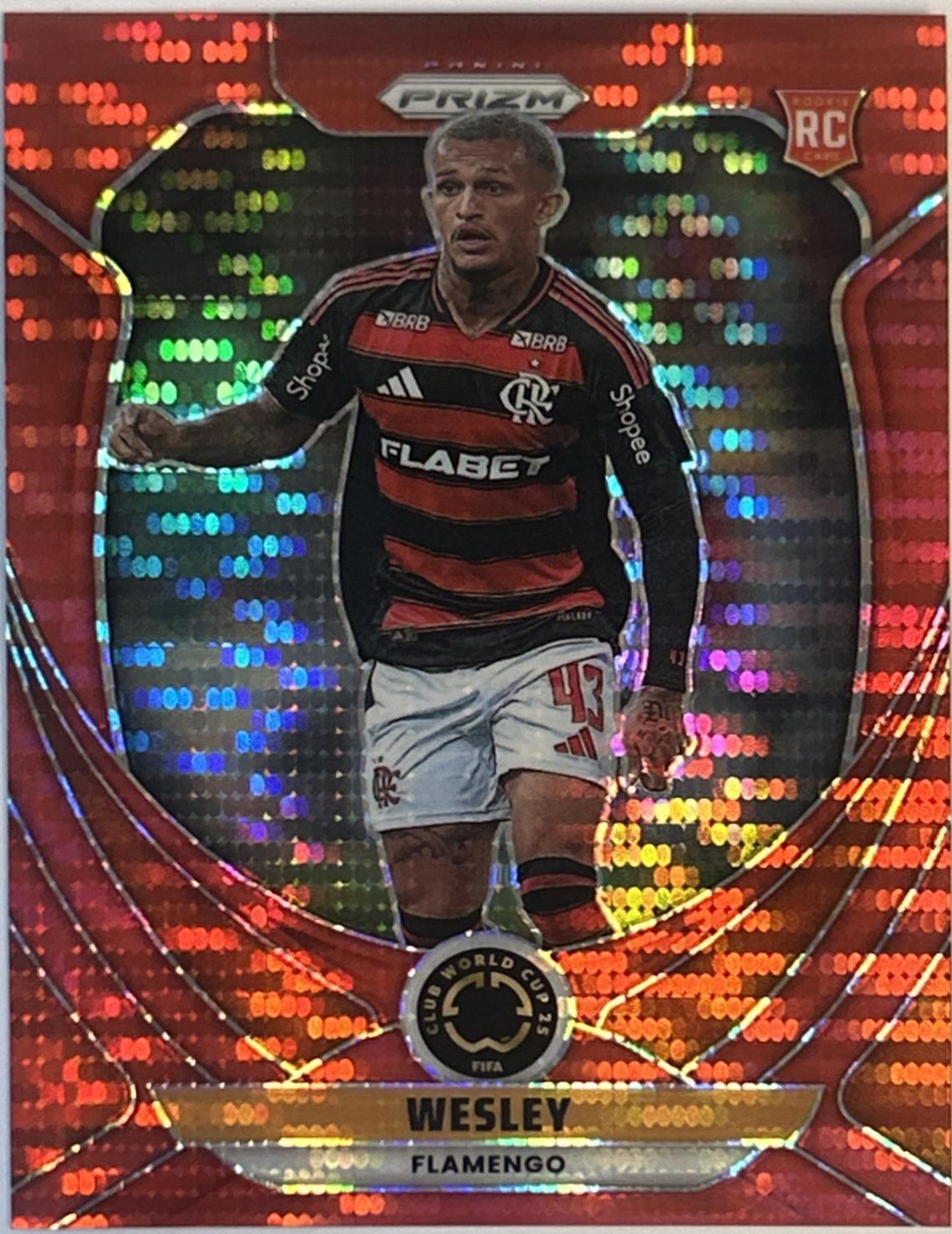 Wesley [Red Pulsar] #109