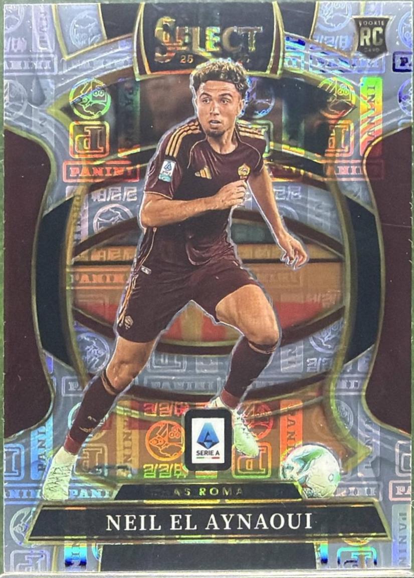 Neil El Aynaoui [Panini Logo] #25