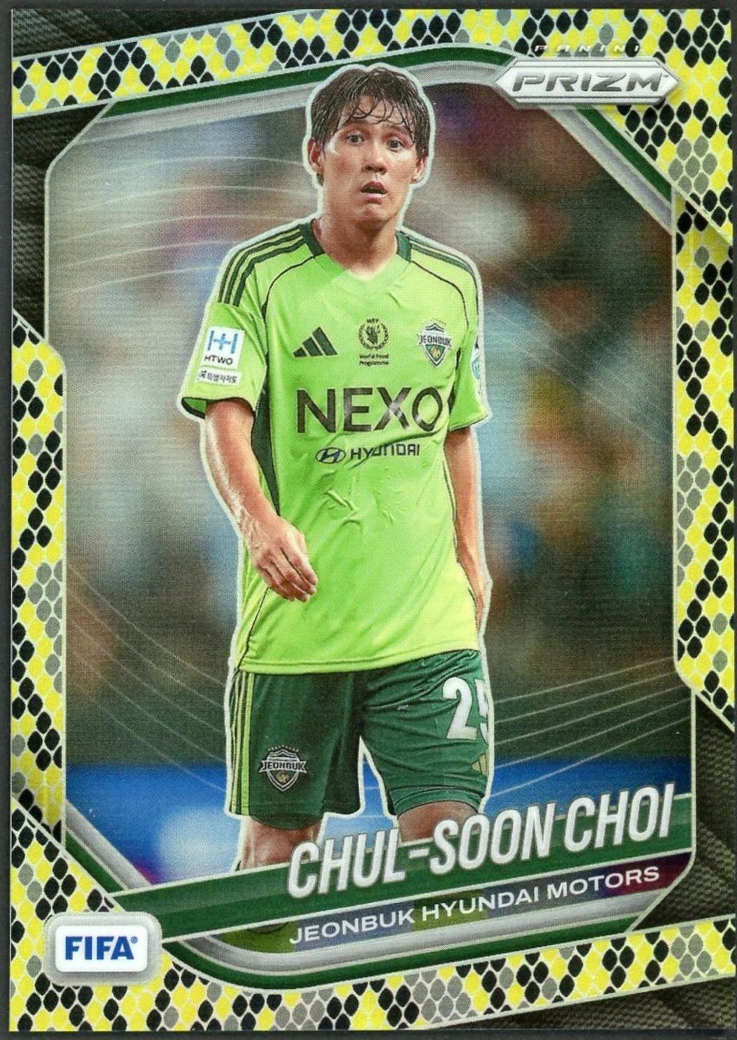Chul-Soon Choi [Snakeskin] #199