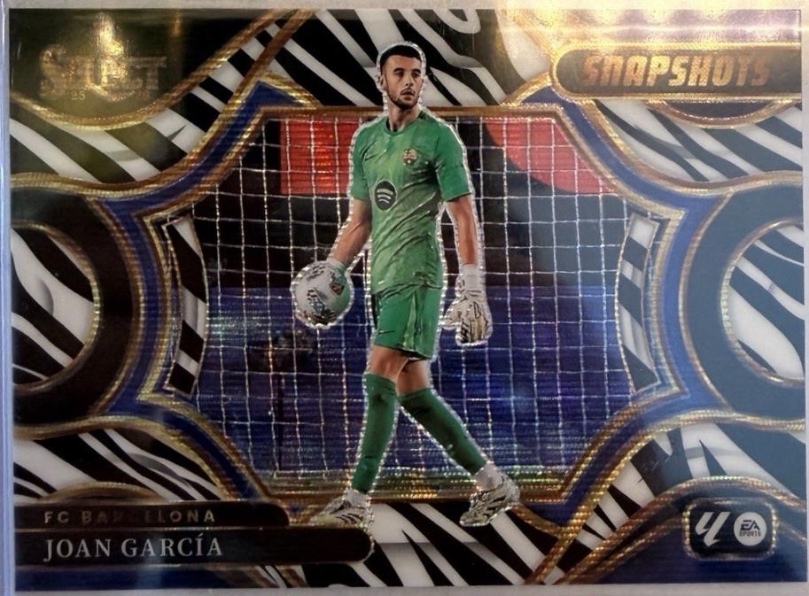 Joan Garcia [Zebra] #3